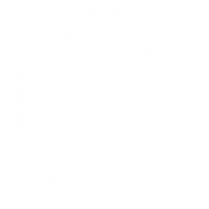 packing-icon-white