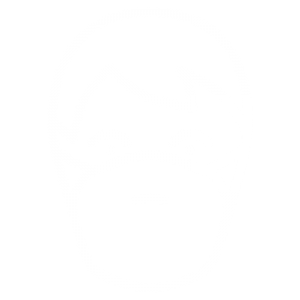 ppe-icon-white